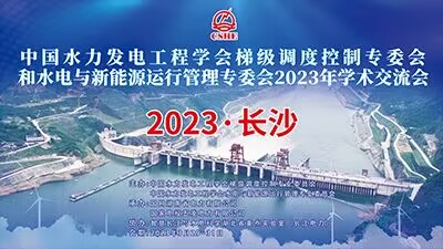 2023中国水电梯调专委会和水新专委会学术交